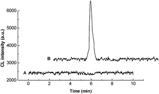 Graphical abstract: A new capillary electrophoresis-direct chemiluminescence system for the determination of epinephrine and mechanism study