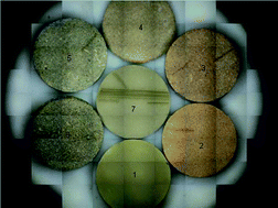 Graphical abstract: Determination of elements in situ in green leaves by laser ablation ICP-MS using pressed reference materials for calibration