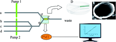 Graphical abstract: A novel high selectivity sensor for tetradifon residues based on double-side hollow molecularly imprinted materials