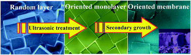 Graphical abstract: Highly oriented, neutral and cation-free AlPO4 LTA: from a seed crystal monolayer to a molecular sieve membrane