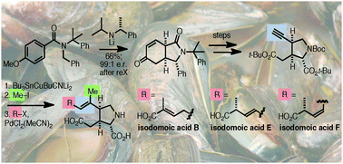 Graphical abstract: A general synthetic approach to the amnesic shellfish toxins: total synthesis of (−)-isodomoic acid B, (−)-isodomoic acid E and (−)-isodomoic acid F