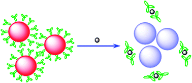 Graphical abstract: Metal-induced aggregation of mononucleotides-stabilized gold nanoparticles: an efficient approach for simple and rapid colorimetric detection of Hg(ii)