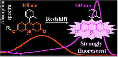 Graphical abstract: Development of a fluorescein analogue, TokyoMagenta, as a novel scaffold for fluorescence probes in red region