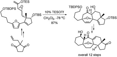 Graphical abstract: An expeditious asymmetric synthesis of the pentacyclic core of the cortistatins by an intramolecular (4+3) cycloaddition