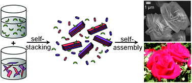 Graphical abstract: Highly enhanced photoluminescence of a rose-like hierarchical superstructure prepared by self-assembly of rare-earth hydroxocation nanosheets and polyoxomolybdate anions