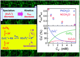 Graphical abstract: New insights into the mechanism of activation of atom transfer radical polymerization by Cu(i) complexes