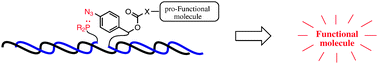 Graphical abstract: DNA-templated release of functional molecules with an azide-reduction-triggered immolative linker