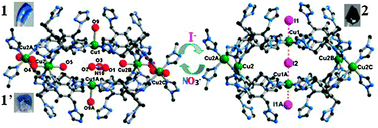 Graphical abstract: Reversible single crystal to single crystal transformation with anion exchange-induced weak Cu2+⋯I− interactions and modification of the structures and properties of MOFs