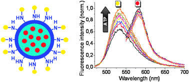 Graphical abstract: Surface-functionalized fluorescent silica nanoparticles for the detection of ATP