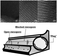 Graphical abstract: Direct synthesis of plugged SBA-15 type mesoporous silica using alcoholamines