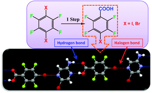 Graphical abstract: Facile synthesis and supramolecular chemistry of hydrogen bond/halogen bond-driven multi-tasking tectons