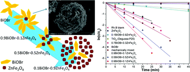 Graphical abstract: Exceptional visible-light-driven photocatalytic activity over BiOBr–ZnFe2O4 heterojunctions