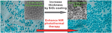 Graphical abstract: Silica coating improves the efficacy of Pd nanosheets for photothermal therapy of cancer cells using near infrared laser