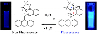 Graphical abstract: Fluorescence PET (photo-induced electron transfer) sensors for water based on anthracene–boronic acid ester