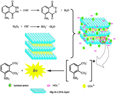 Graphical abstract: Mg–Al–carbonate layered double hydroxides as a novel catalyst of luminol chemiluminescence