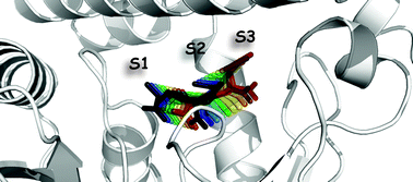 Graphical abstract: The crystallographic structure of thermoNicotianamine synthase with a synthetic reaction intermediate highlights the sequential processing mechanism