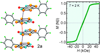 Graphical abstract: The first semiquinone-bridged bisdithiazolyl radical conductor: a canted antiferromagnet displaying a spin-flop transition