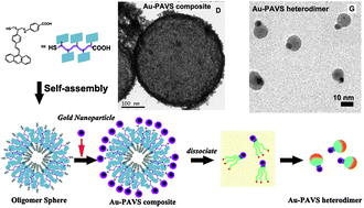 Graphical abstract: Facile synthesis of polymer/Au heteronanoparticles