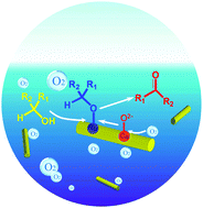 Graphical abstract: Novel Ca-doped CePO4 supported ruthenium catalyst with superior catalytic performance for aerobic oxidation of alcohols