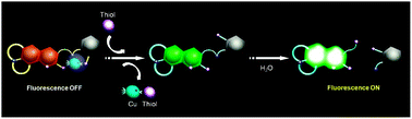 Graphical abstract: An iminocoumarin–Cu(ii) ensemble-based chemodosimeter toward thiols