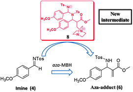 Graphical abstract: On the mechanism of the aza-Morita–Baylis–Hillman reaction: ESI-MS interception of a unique new intermediate