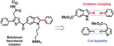 Graphical abstract: Increasing synthetic efficiency via direct C–H functionalization: formal synthesis of an inhibitor of botulinum neurotoxin