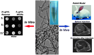 Graphical abstract: Synthesis of Pt@Fe2O3 nanorods as MRI probes for in vivo application