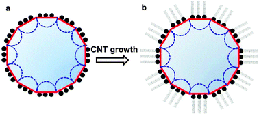 Graphical abstract: Synthesis of vertically aligned carbon nanotube arrays on polyhedral Fe/Al2O3 catalysts