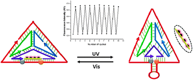 Graphical abstract: Molecular engineering of photoresponsive three-dimensional DNA nanostructures