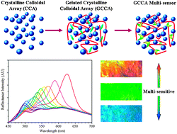 Graphical abstract: Ethanol-assisted multi-sensitive poly(vinyl alcohol) photonic crystal sensor