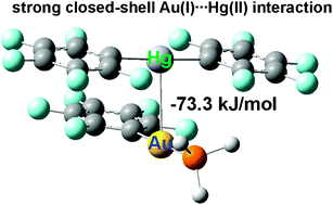 Graphical abstract: Amalgamating at the molecular level. A study of the strong closed-shell Au(i)⋯Hg(ii) interaction