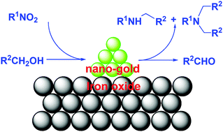 Graphical abstract: Fe2O3-supported nano-gold catalyzed one-pot synthesis of N-alkylated anilines from nitroarenes and alcohols