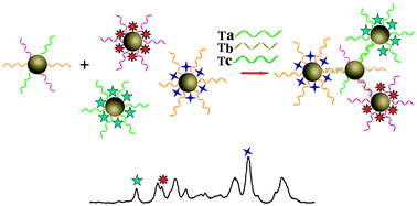 Graphical abstract: Mixed DNA-functionalized nanoparticle probes for surface-enhanced Raman scattering-based multiplex DNA detection