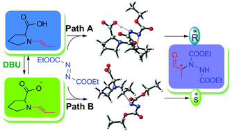 Graphical abstract: Stereocontrol in proline-catalyzed asymmetric amination: a comparative assessment of the role of enamine carboxylic acid and enamine carboxylate