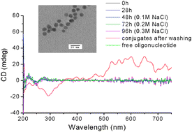 Graphical abstract: Plasmon-induced CD response of oligonucleotide-conjugated metal nanoparticles