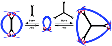Graphical abstract: Reversible anion-templated self-assembly of [2+2] and [3+3] metallomacrocycles containing a new dicopper(i) motif