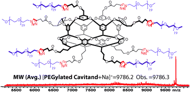 Graphical abstract: A versatile and modular approach to functionalisation of deep-cavity cavitandsvia “click” chemistry