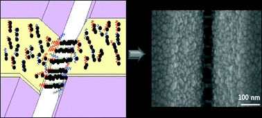 Graphical abstract: Electric detection of target DNA by fabricating gold nanowire bridges on planar nanogap electrodes