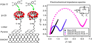 Graphical abstract: Electrochemical impedance determination of polychlorinated biphenyl using a pyrenecyclodextrin-decorated single-walled carbon nanotube hybrid