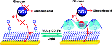 Graphical abstract: Host–guest chemistry at interface for photoswitchable bioelectrocatalysis