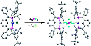 Graphical abstract: Synthesis and coordination behavior of CuI bis(phosphaethenyl)pyridine complexes