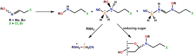 Graphical abstract: Alkoxyamine-cyanoborane adducts: efficient cyanoborane transfer agents