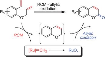 Graphical abstract: A single precatalyst tandem RCM–allylic oxidation sequence