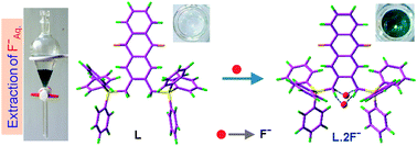 Graphical abstract: Receptor design and extraction of inorganic fluoride ion from aqueous medium