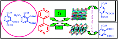 Graphical abstract: Separation of isomers of sulfophthalic acid by guest induced host framework formation with 4,4′-bipyridine