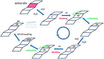 Graphical abstract: Site regeneration in the Fischer–Tropsch synthesis reaction: a synchronized CO dissociation and C–C coupling pathway