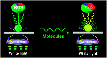 Graphical abstract: Individually color-coded plasmonic nanoparticles for RGB analysis