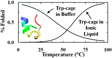 Graphical abstract: The effect of neat ionic liquid on the folding of short peptides