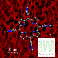 Graphical abstract: Hierarchical organization of a robust porphyrin cage self-assembled by hydrogen bonds