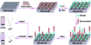 Graphical abstract: “Proof-of-principle” concept for ultrasensitive detection of cytokines based on the electrically heated carbon paste electrode